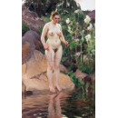 РЕПРОДУКЦИИ НА КАРТИНИ Архипелагско цвете (1916)